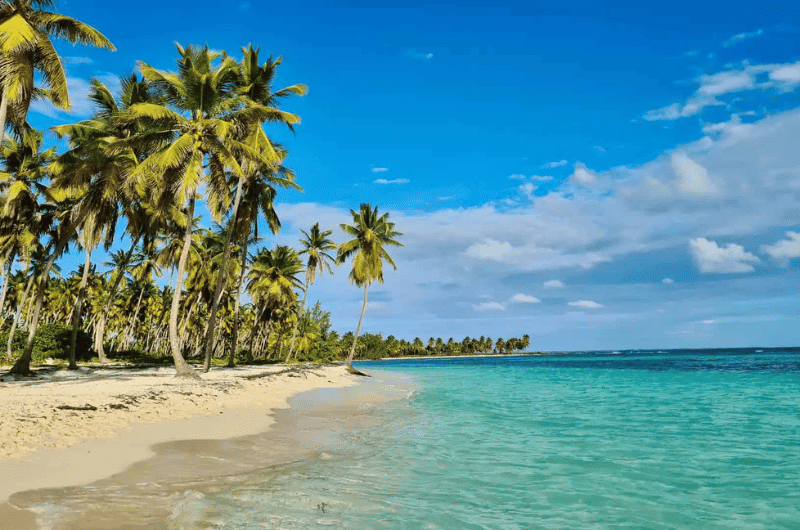 Platinum Transfer Punta Cana