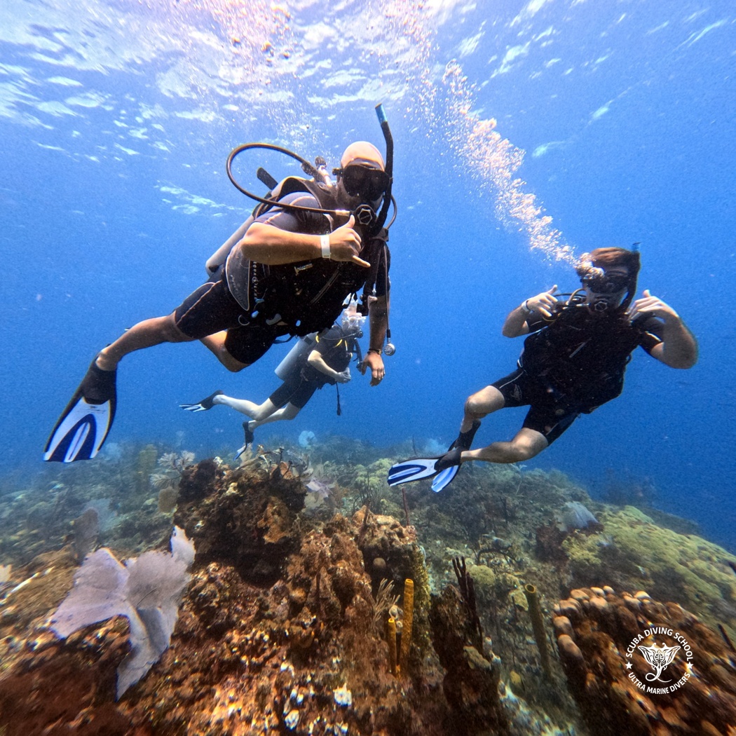 Ultra Marine Divers