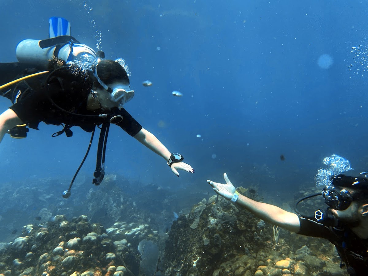 Ultra Marine Divers