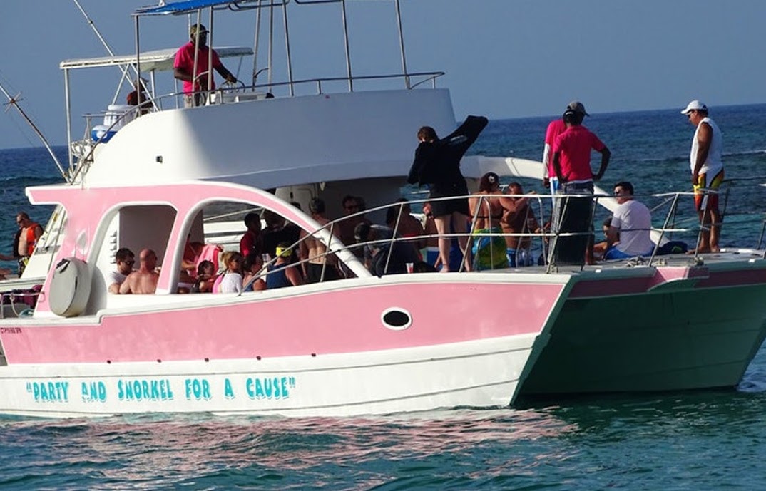 Pink cat punta cana