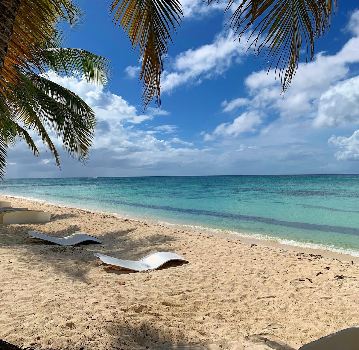 Punta Cana Tours