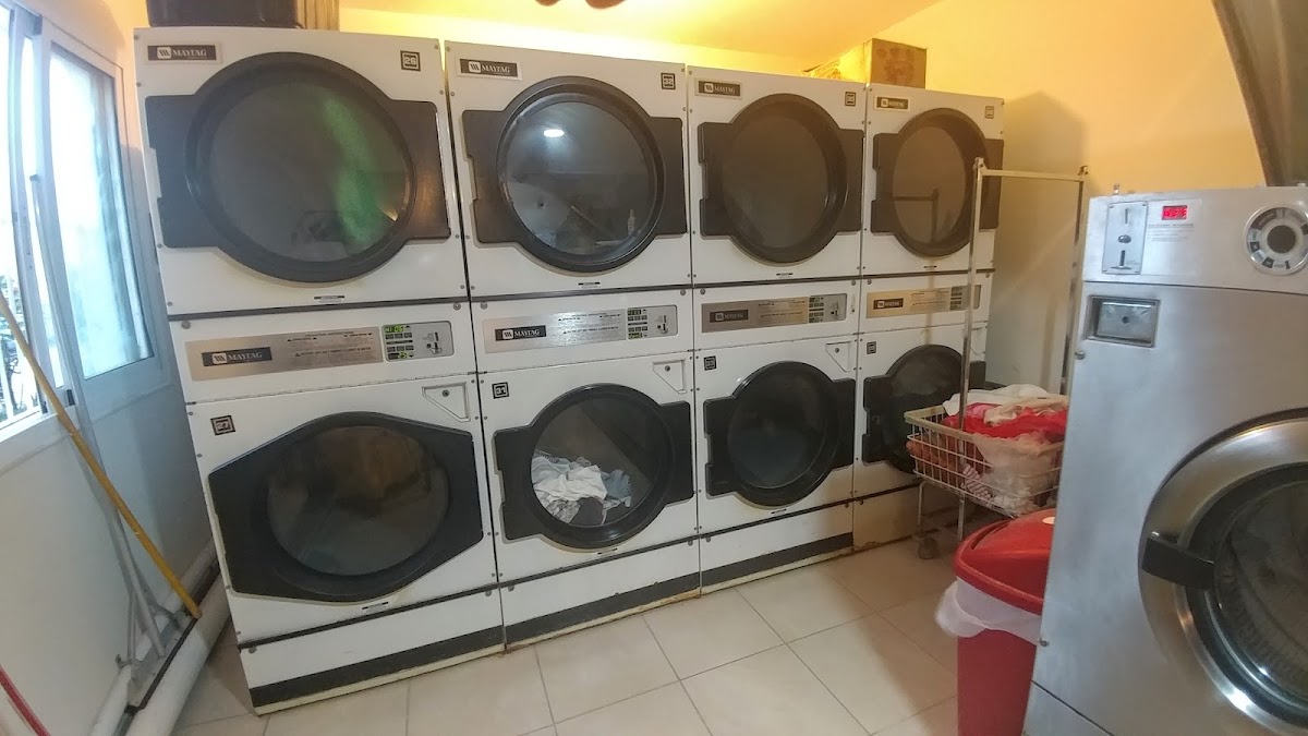 B-CLEAN LAUNDRY SERVICES - Imagen 3