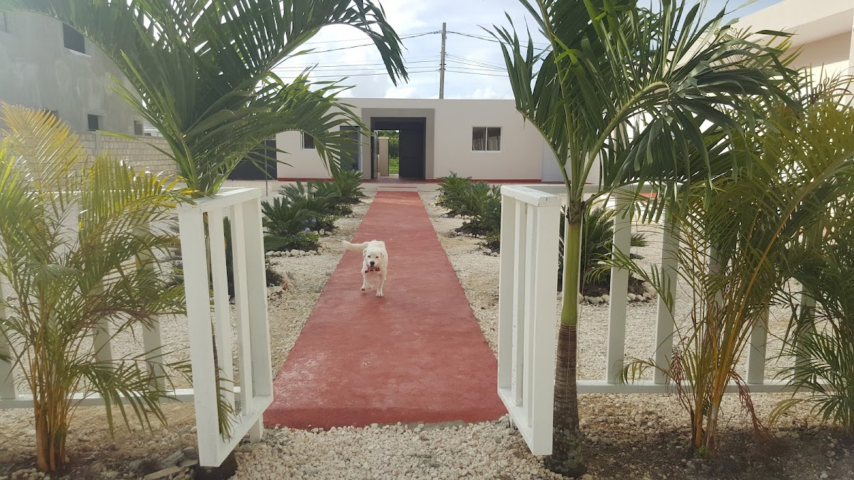 Tia Sandra School