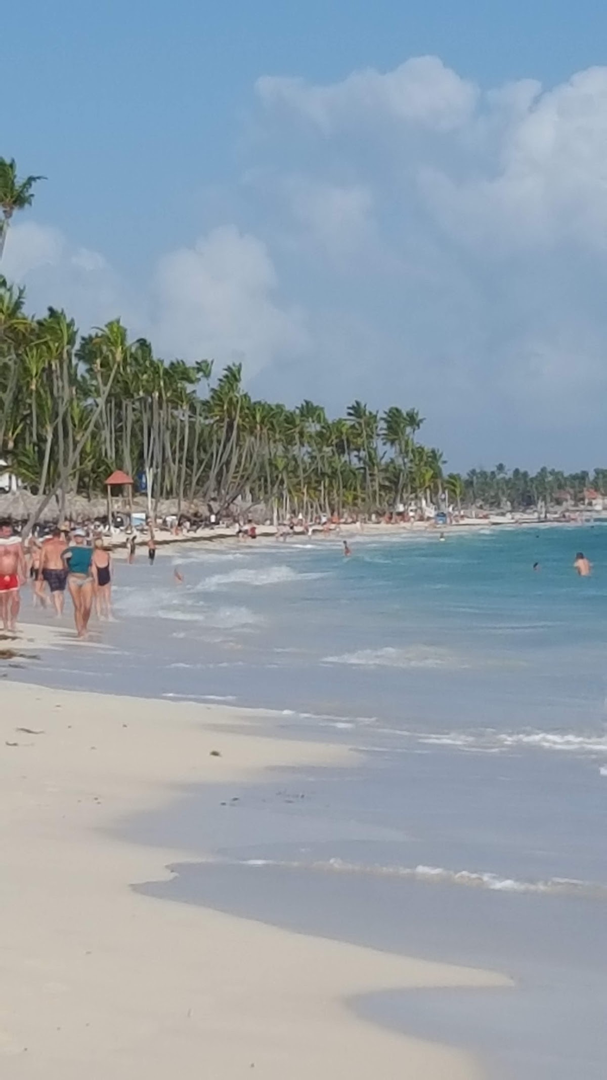 Punta Cana Now
