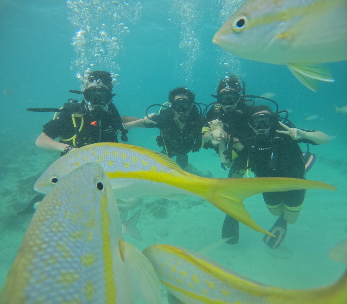 Dolin Dive Center - Imagen 3