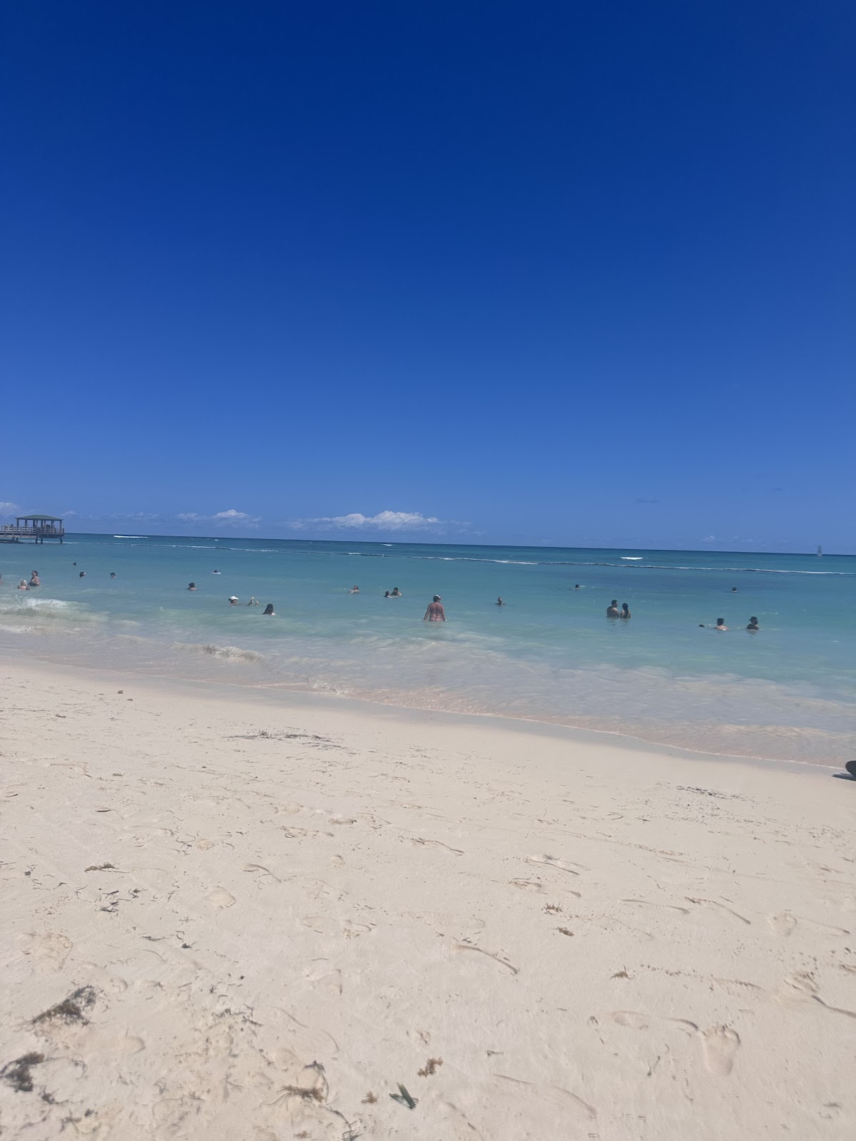 Dominican Catamaran