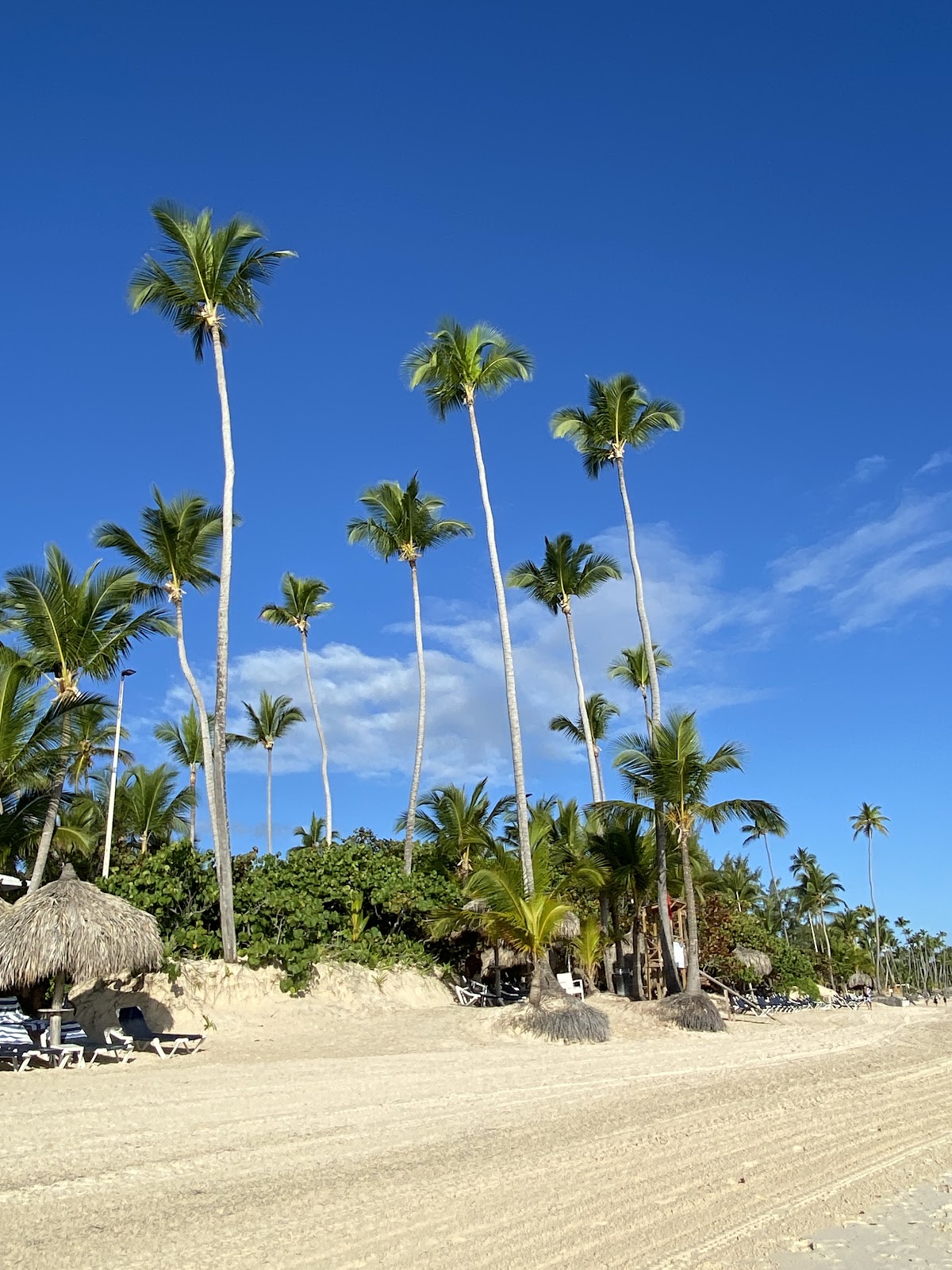 Beach Activities/rentals