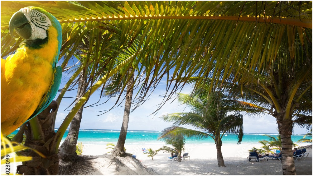 Caribbean Dreams Realty Punta Cana