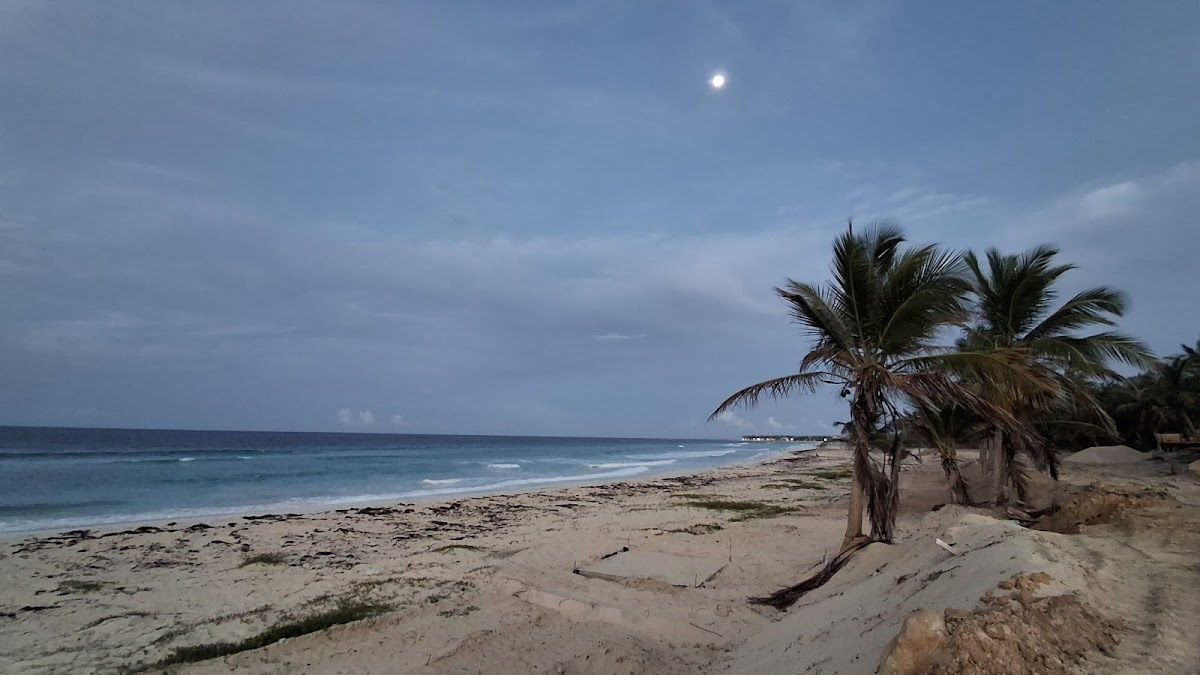 Antique Genesis Beach