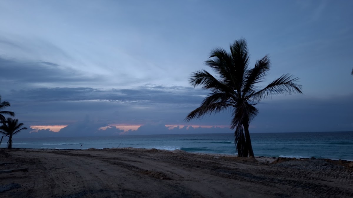 Antique Genesis Beach