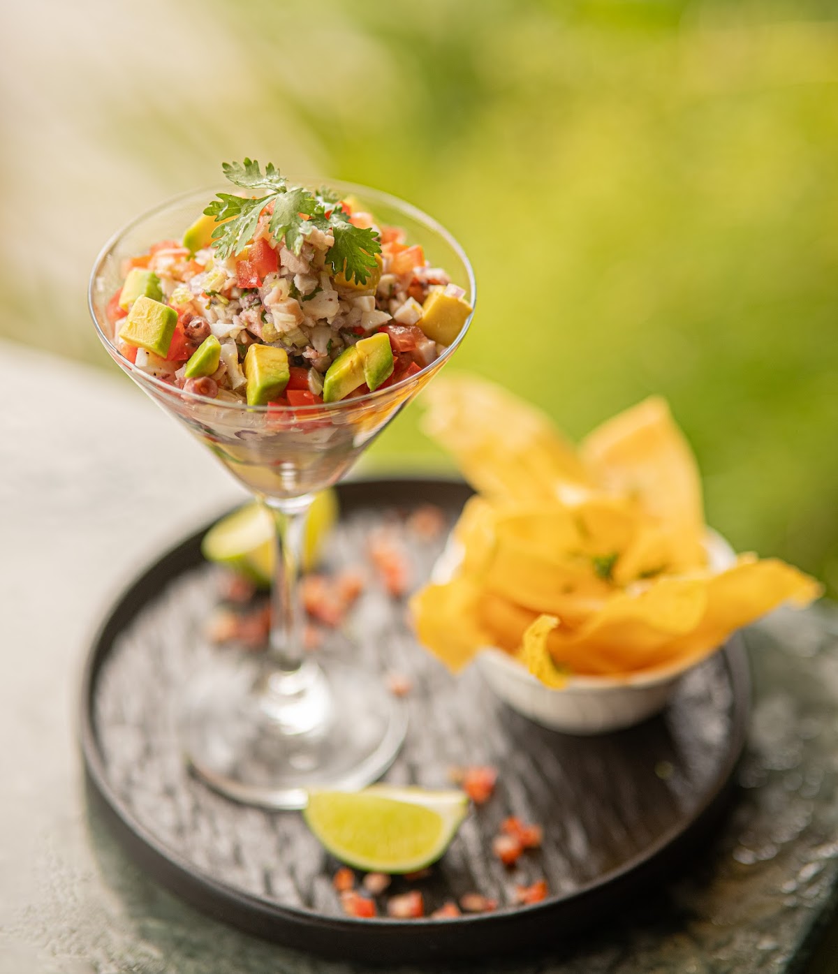 Lorenz's Food RD - Imagen 2