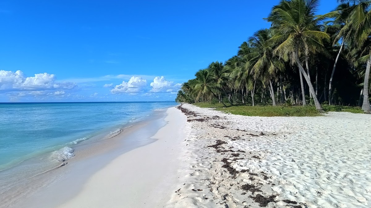 Turissimo Caribe Excursiones
