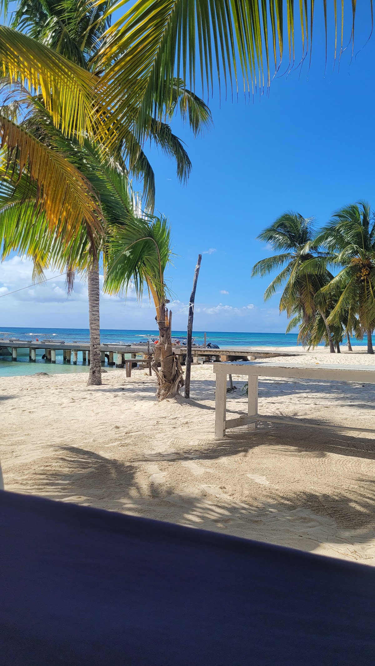 CARIBBEAN DESTINY RD