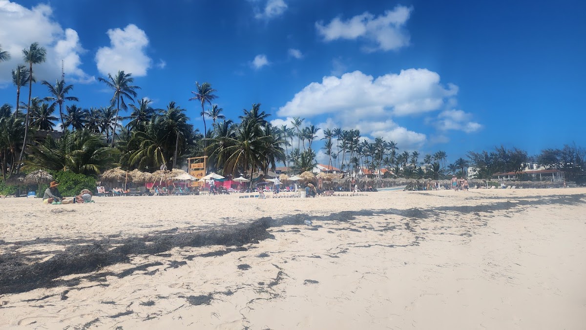 Artesanos en playa Pública