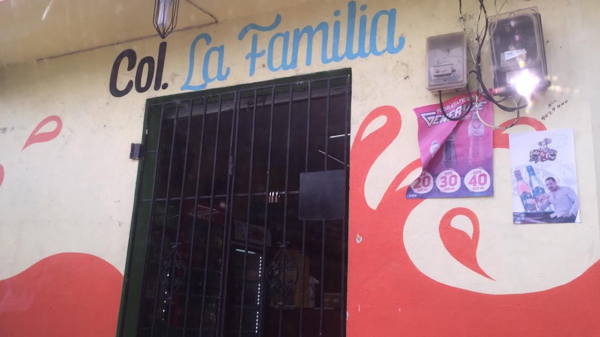 COL. LA FAMILIA - Imagen 1