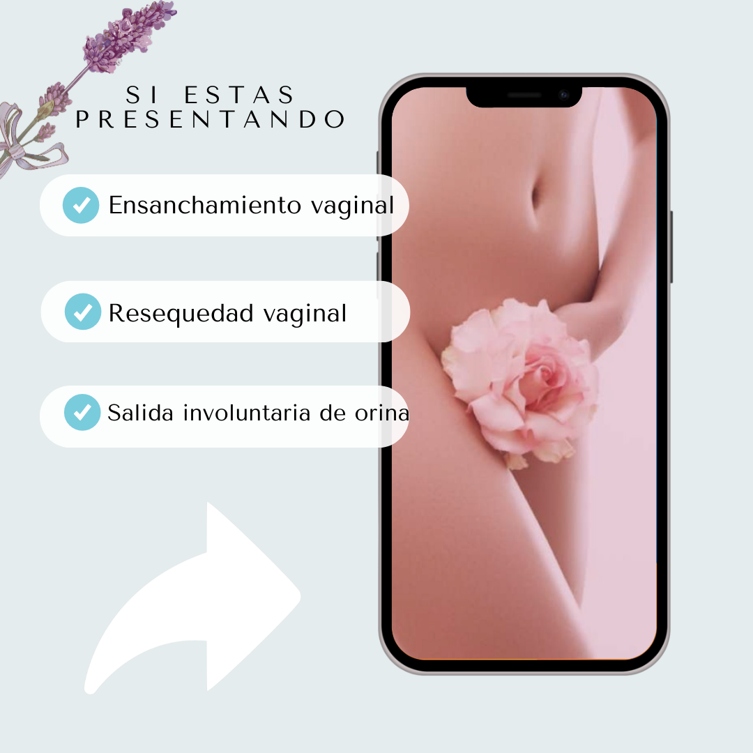 Dra. Ivette Dib Ginecóloga-Obstetra •Estética Íntima • Laser Urogenital • Balance Hormonal - Imagen 3