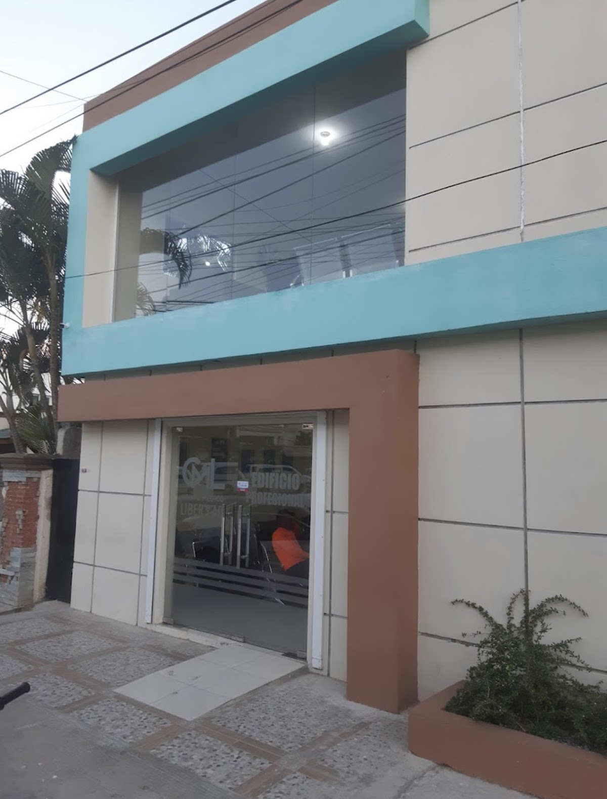 Dra. Annerys V Arias Cedeño - Imagen 2
