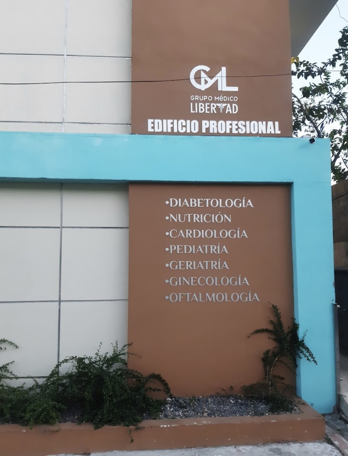 Dra. Annerys V Arias Cedeño - Imagen 1