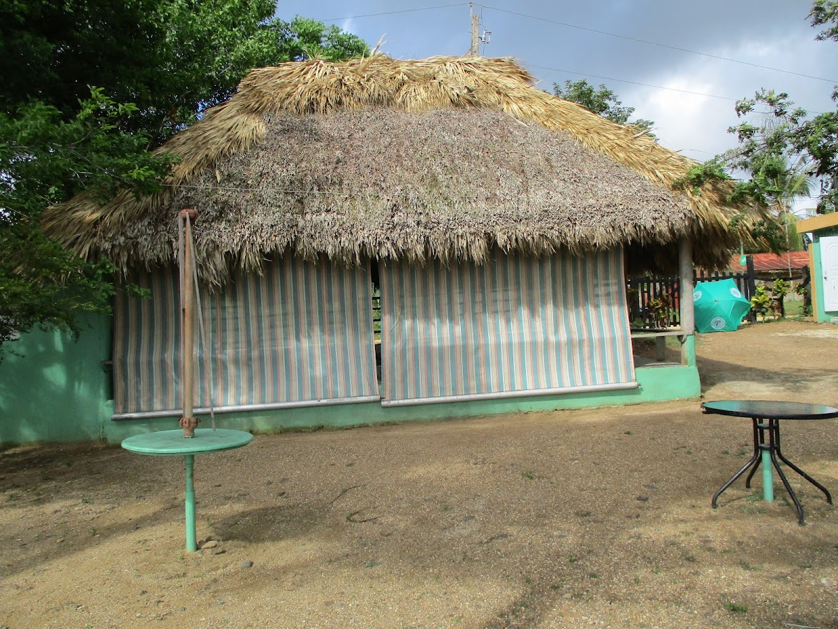 Parque Ecológico Laguna de Campo - Imagen 1