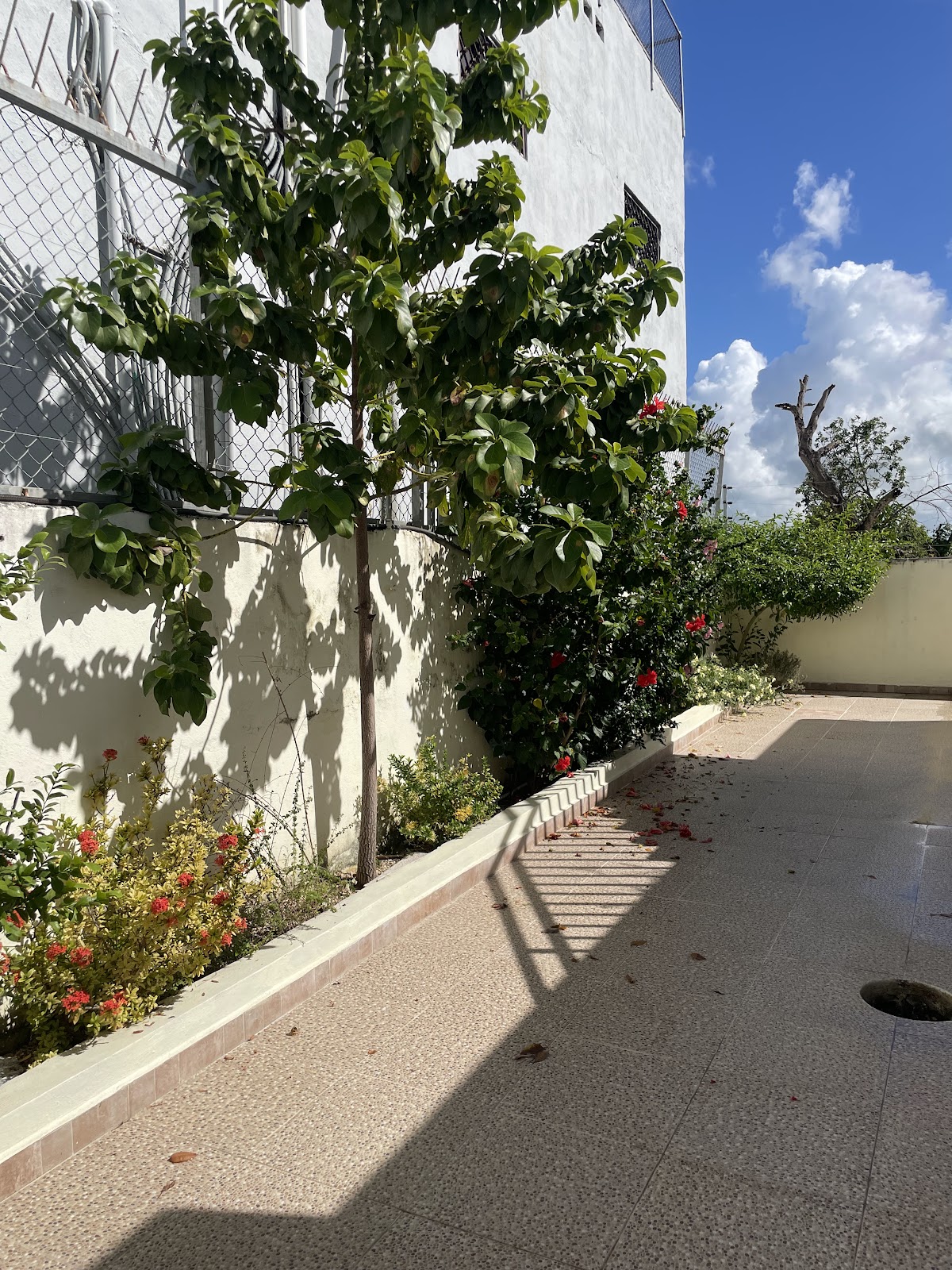 Maria's Entire House - Imagen 1
