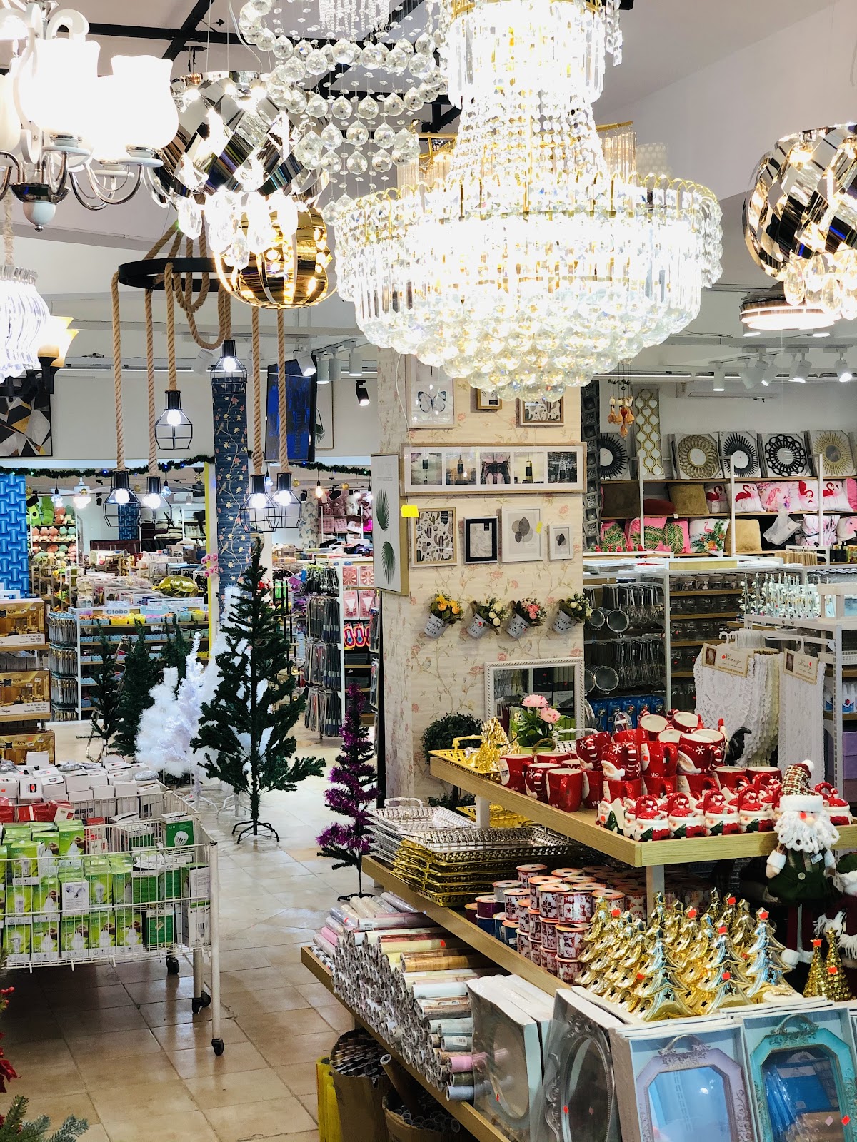 Tienda friusa