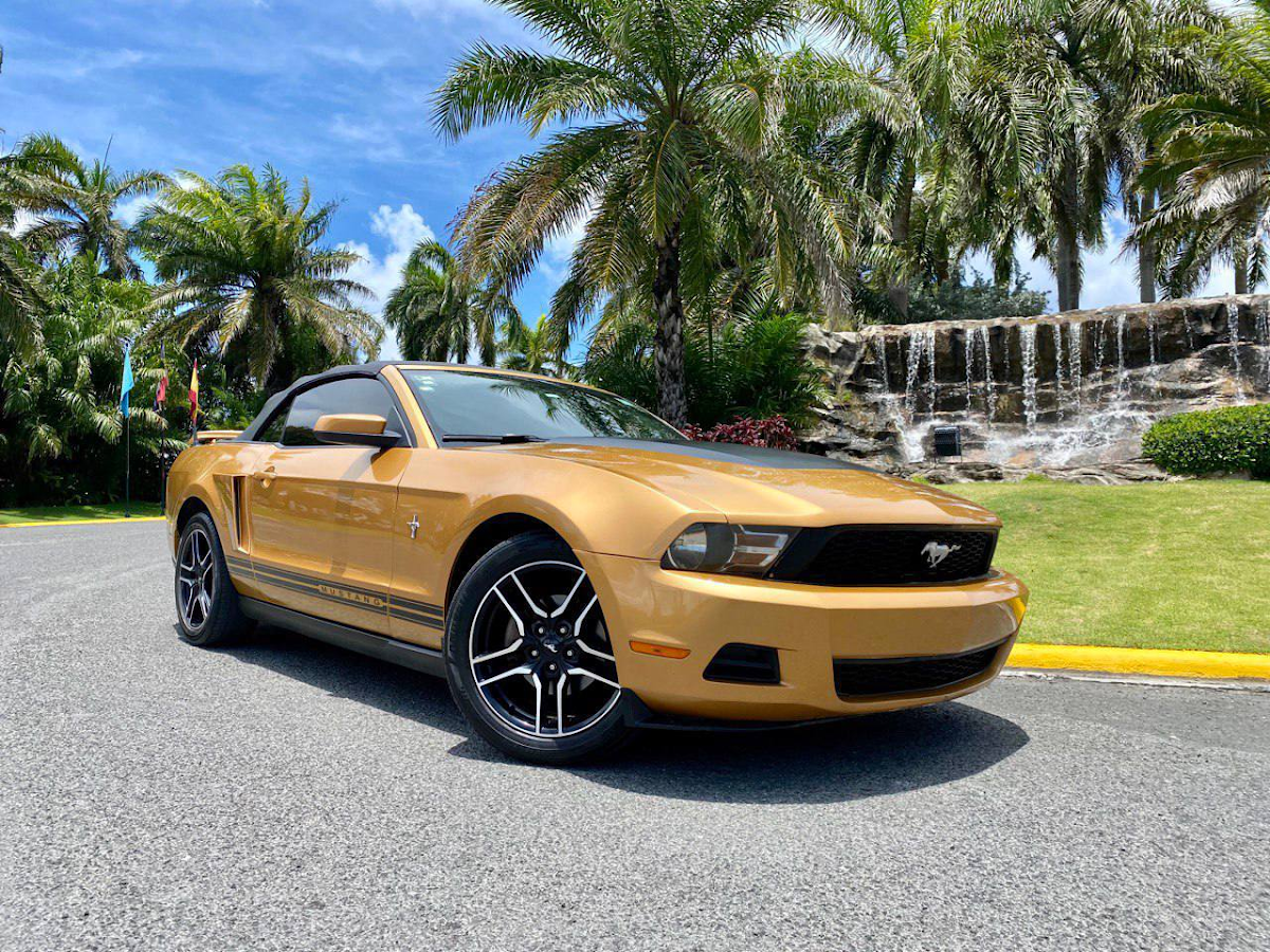 Punta Cars