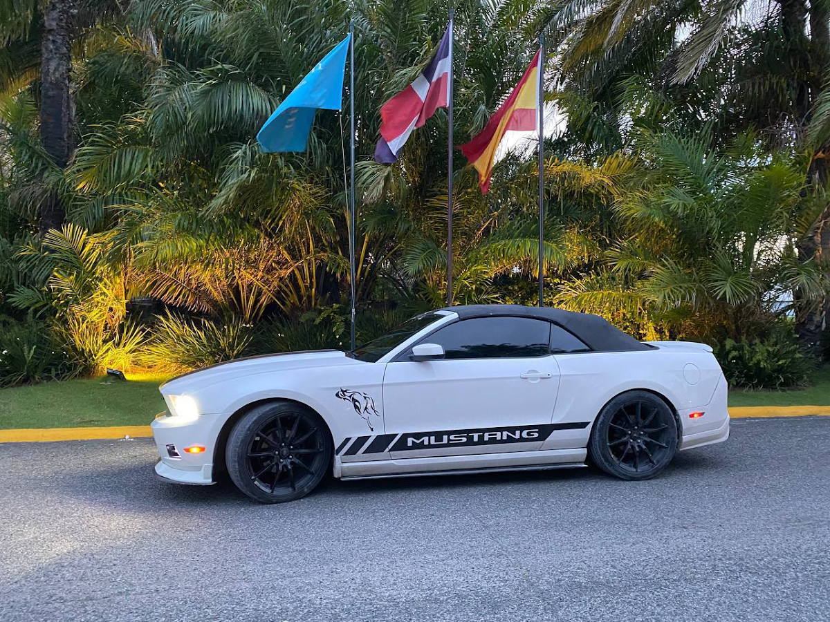 Punta Cars