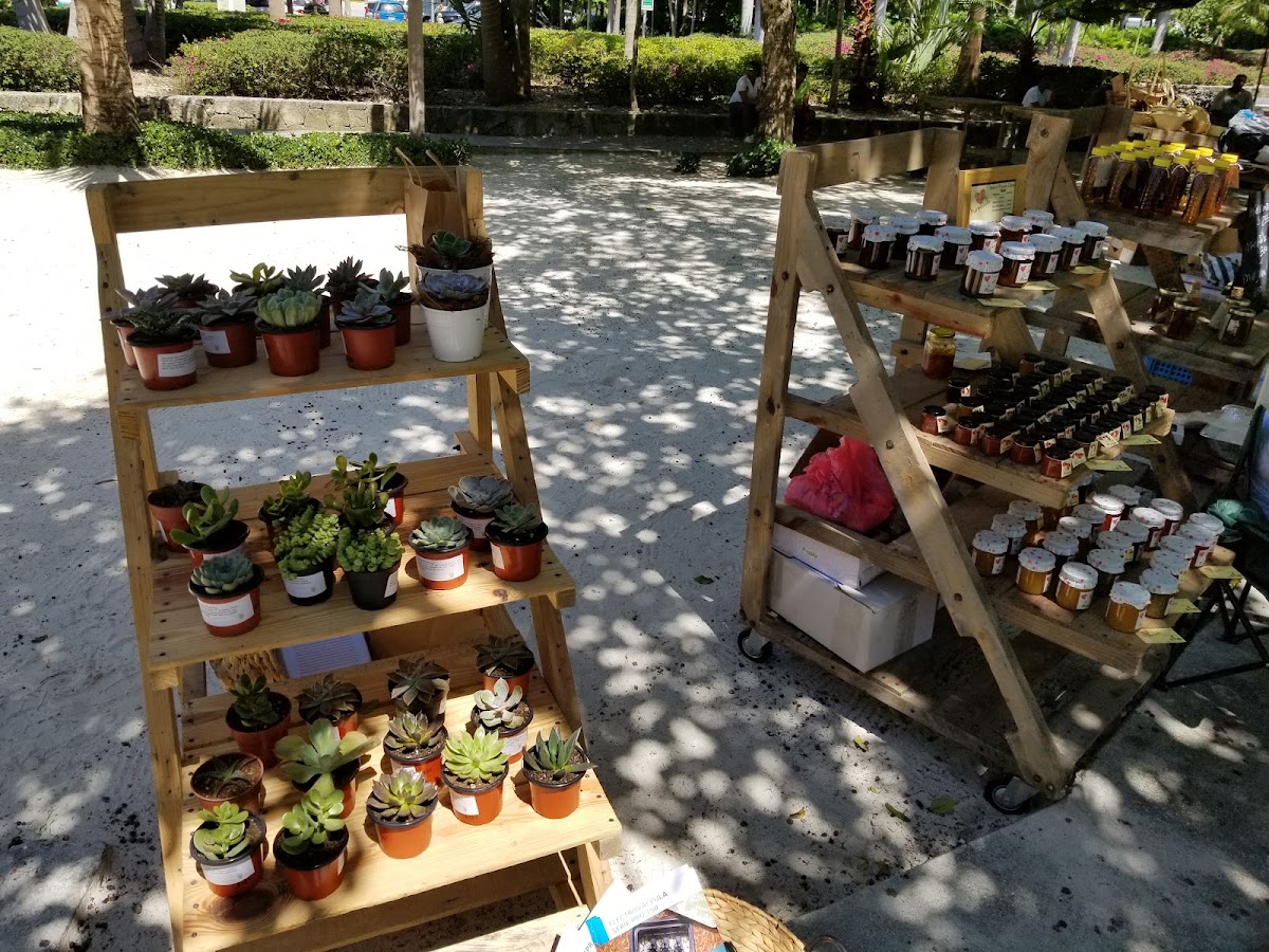 Mercado Orgánico