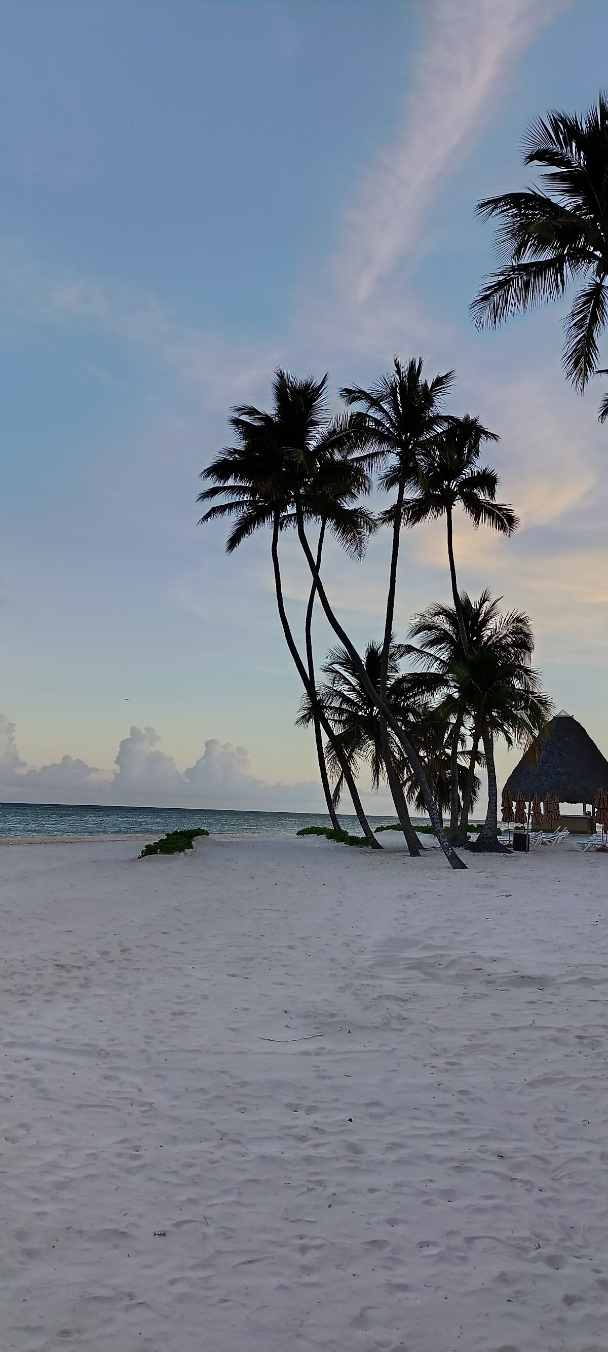 Kite Club Punta Cana