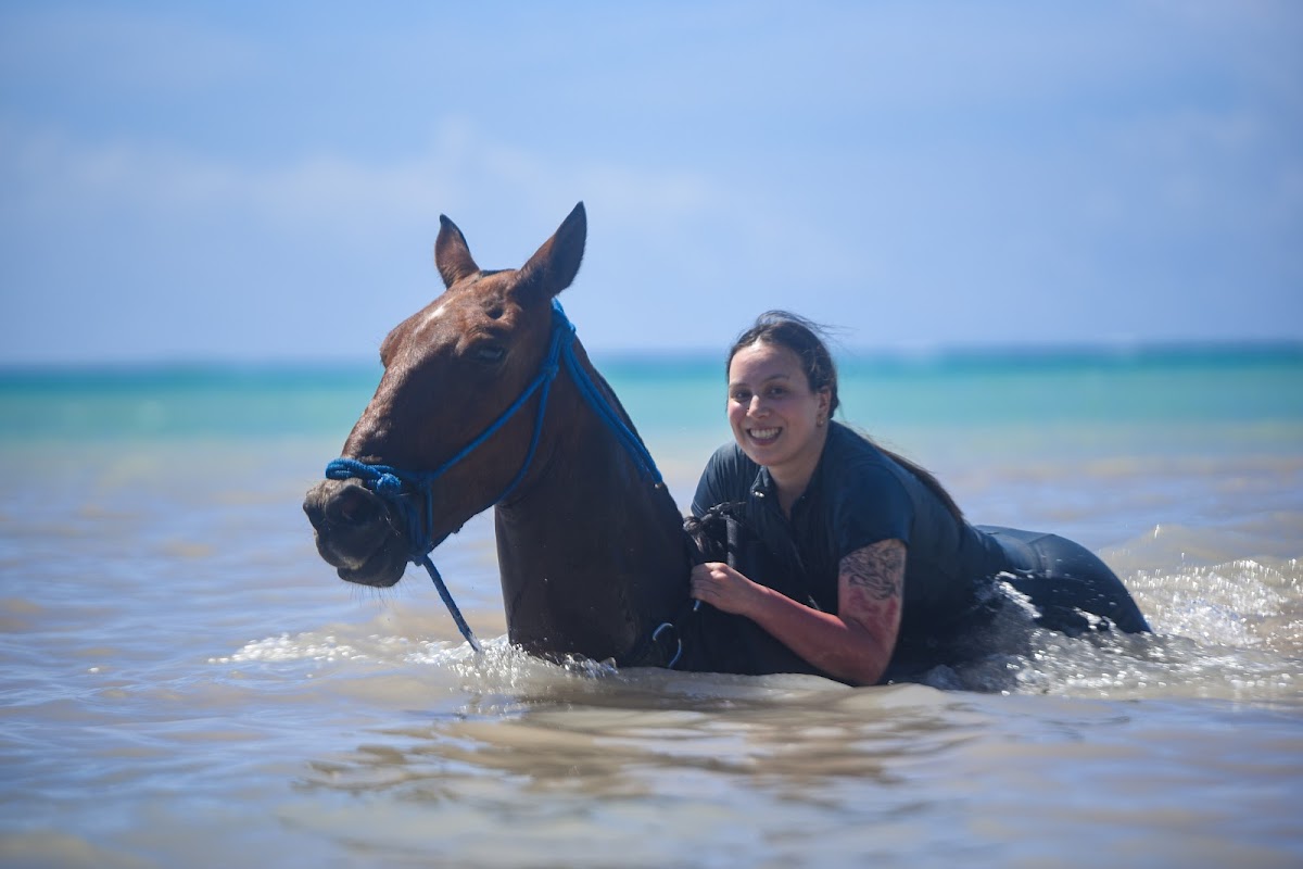 Swim Horse Punta Cana