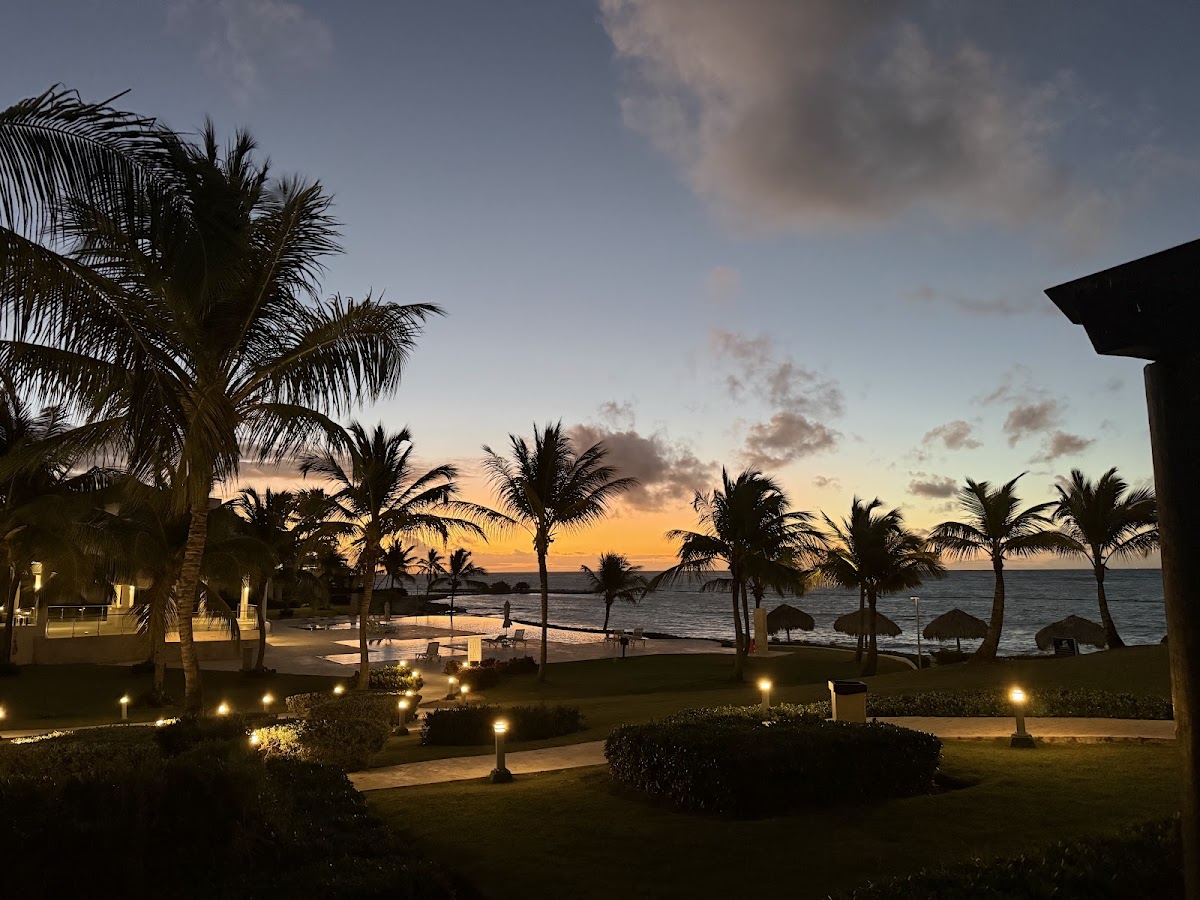 Punta Palmera