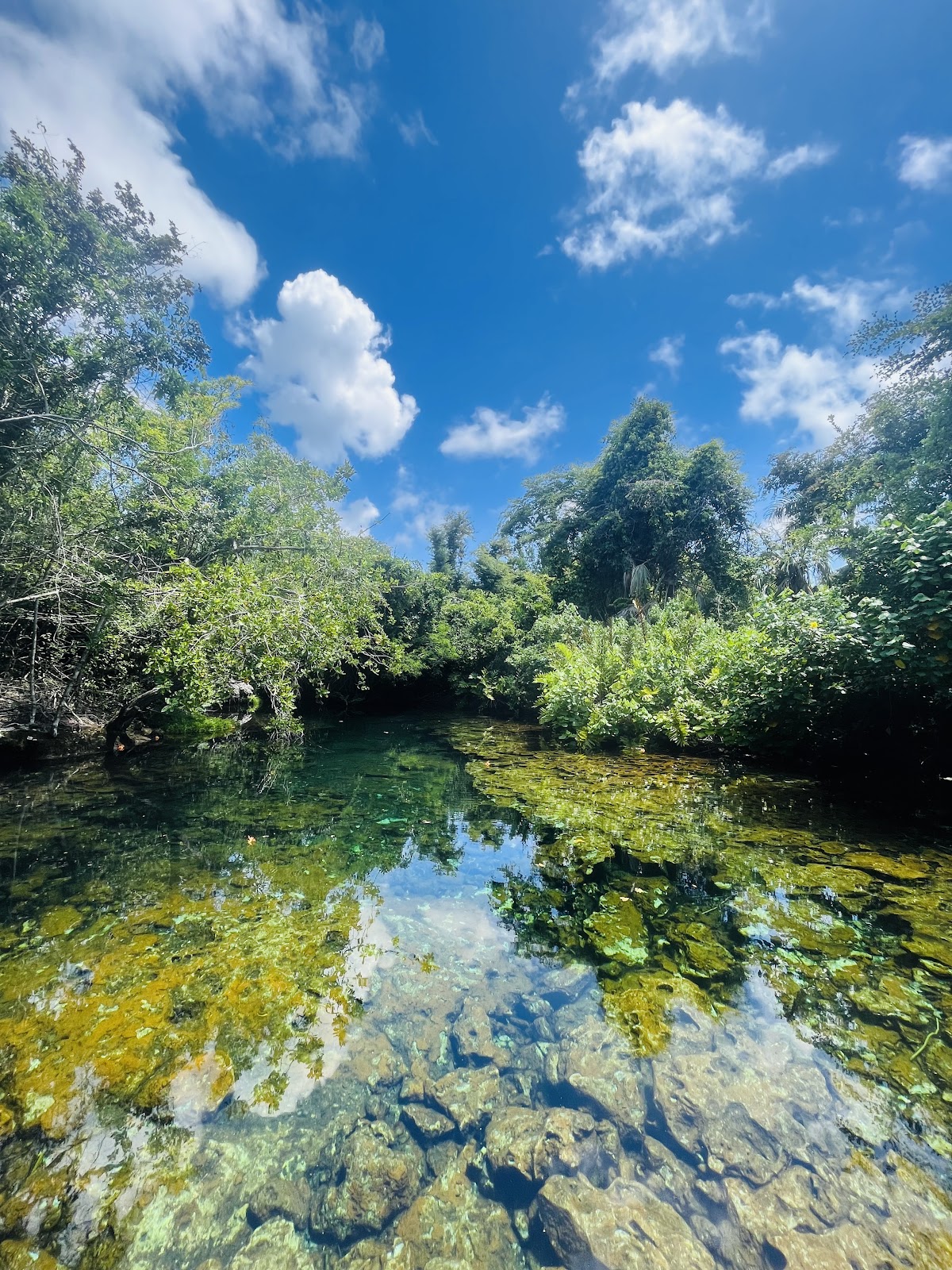 Beach Entry Ecological Reserve