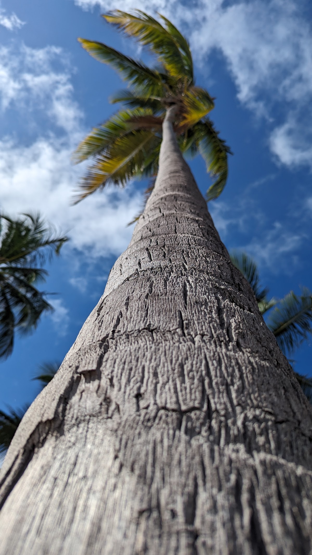 Beach Entry Ecological Reserve
