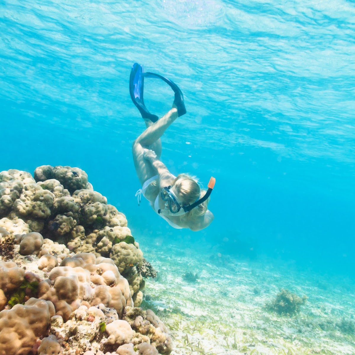 ScubaCaribe - Diving & Water Sports