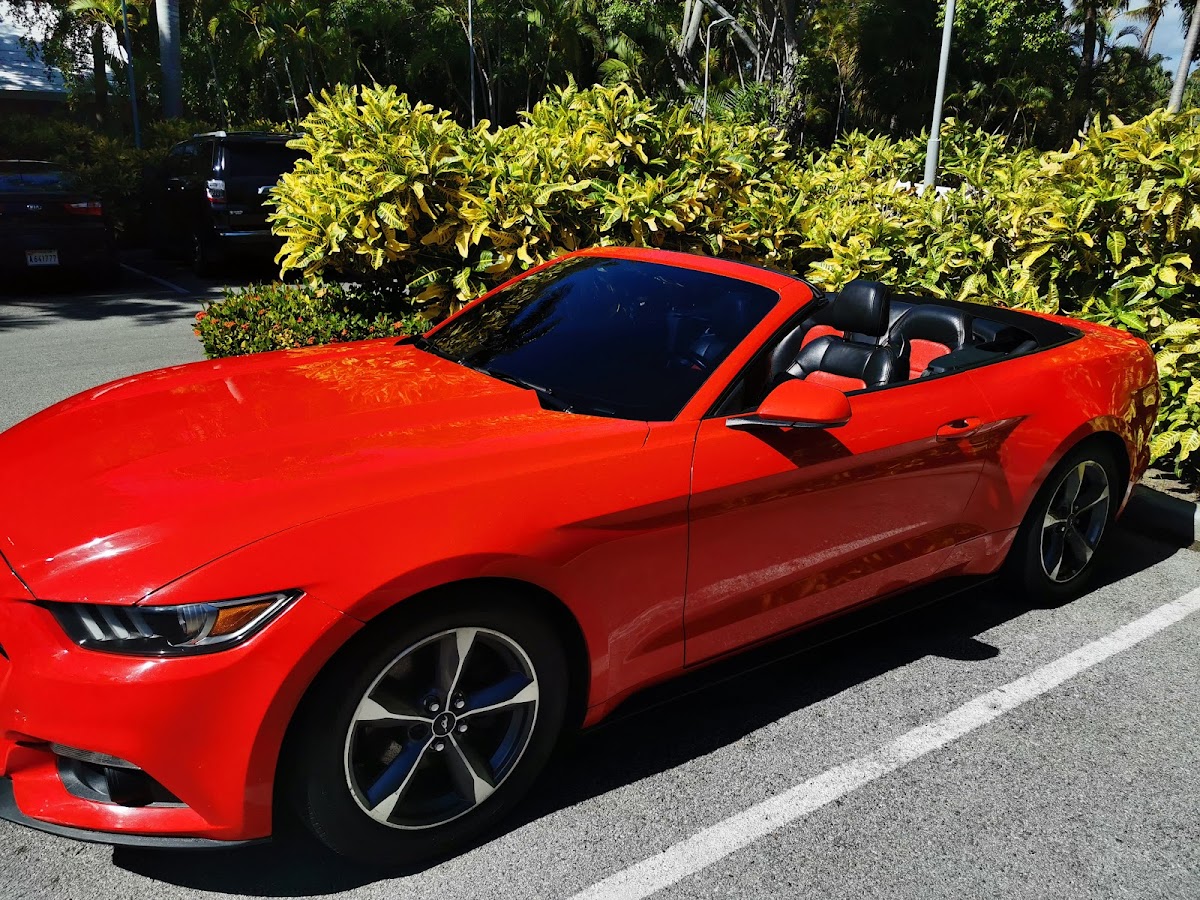 WK Rent a Car – Alquiler de Vehículos en Punta Cana