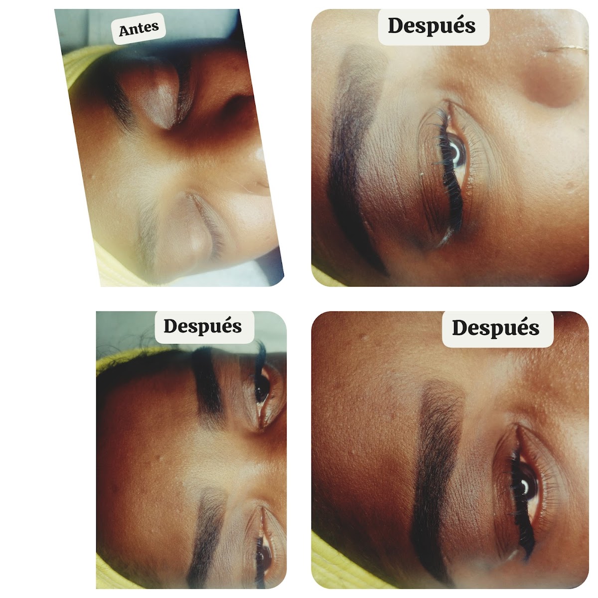 Harmony lash center