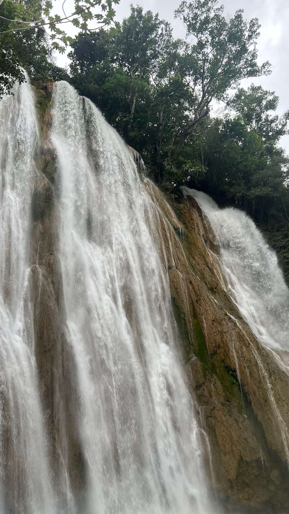 Monito Tours - Excursiones en Punta Cana
